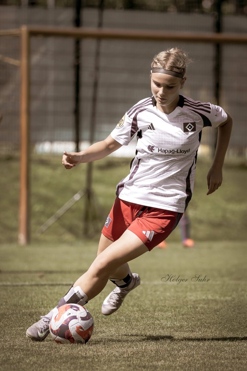 Bild 61 - wBJ Hamburger SV - VfL Wolfsburg : Ergebnis: 5:1